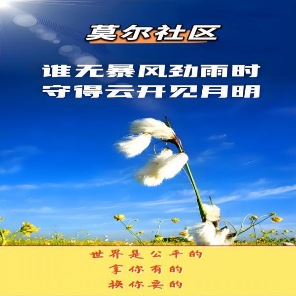 【XM外汇市场评论】：金融体系坍塌，黄金远未见顶(图3)