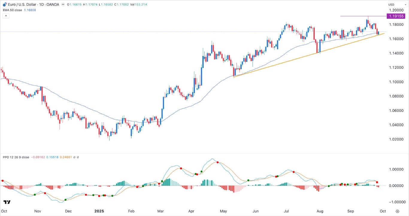 【XM Market Analysis】--EUR/USD Forex Signal: Bullish Outlook Ahead of Key US Jobs Data(图1) 【XM Market Analysis】--EUR/USD Forex Signal: Bullish Outlook Ahead of Key US Jobs Data(图1)