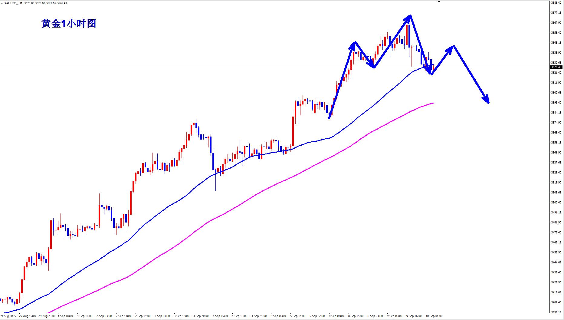 【XM外汇官网】:黄金日线射击之星,早盘反弹先空!(图1) 【XM外汇官网】:黄金日线射击之星,早盘反弹先空!(图1)