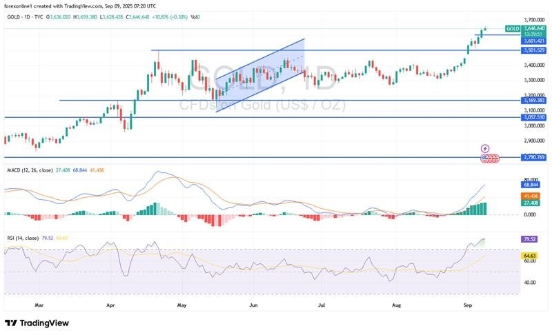 【XM Market Review】--Gold Analysis: Gold Bulls Targeting $3,700 Per Ounce Peak(图1)