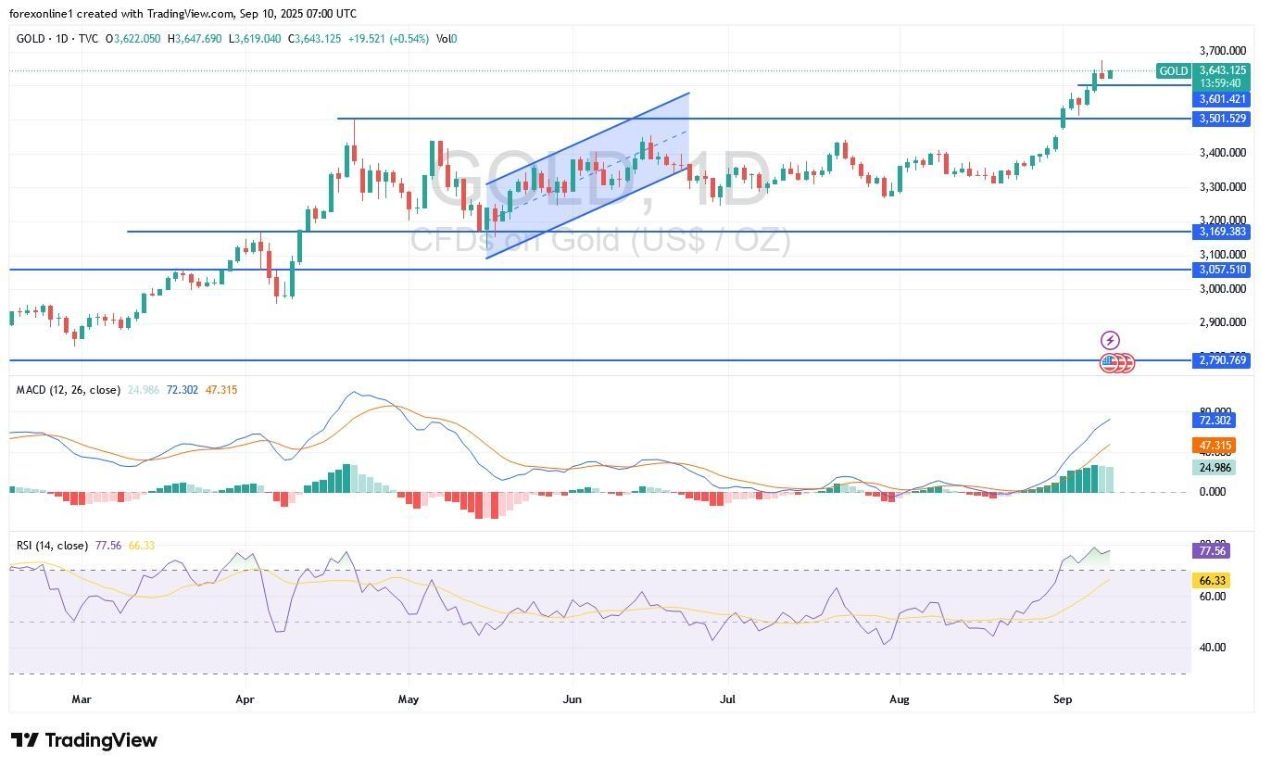 【XM Group】--Gold Analysis: Golds Rally Will Continue for a While(图1) 【XM Group】--Gold Analysis: Golds Rally Will Continue for a While(图1)
